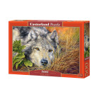 Dėlionė 500 el. Pure Soul