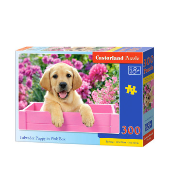 Dėlionė 300 detalių - Labradoro Šuniukas Rožinėje Dėžutėje