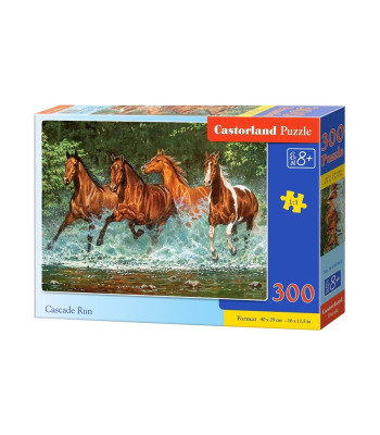 Puzzle 300 el. Cascade Run