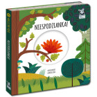 Kapitanas Mokslas Magiškas Ratas. Staigmena!