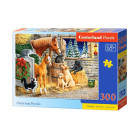 Puzzle 300 detalių Gathering Friends