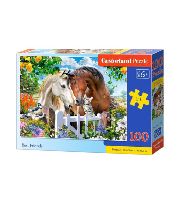 Dėlionė 100 dalių Best Friends