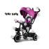 Triratukas Tiny Bike 3-in-1 rožinis su stogeliu