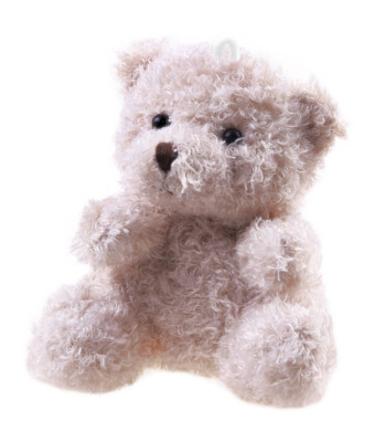 Pliušinis Meškiukas Žaislas Pakabukas ZA4404