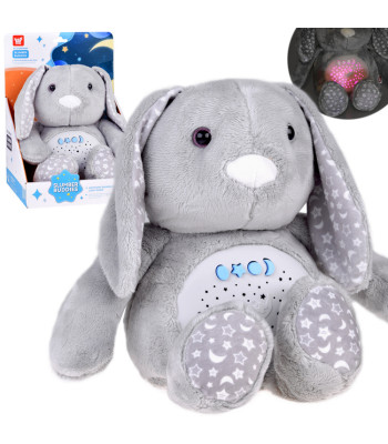 Pliušinis triušis su projektoriumi