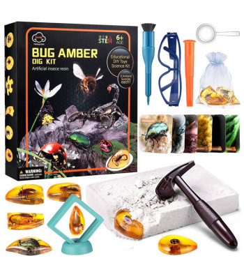 Archeologo rinkinys su vabzdžių fosilijomis gintare ZA4725