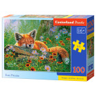 Puzzle 100 el. Foxy Dreams