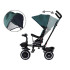 Triratukas vaikams Tiny Bike 3in1 su stogeliu