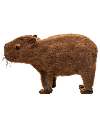 Pliušinė kapibara žaislas 33 cm
