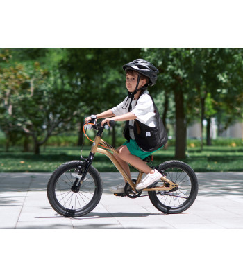 RoyalBaby vaikiškas dviratis Kable-Belt 16" 2024