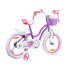 RoyalBaby Vaikiškas Dviratis STAR GIRL 16 colių su krepšeliu ir šoniniais ratukais RB16G-1
