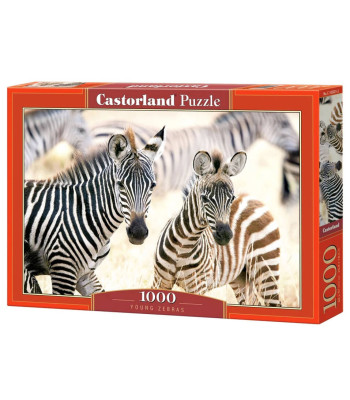 Dėlionė 1000 elementų C-105021 Jaunos Zebros