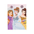 Disney Princesės Kreatyvi Deimantinė Mozaika ZA5130