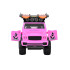 Rožinis Off-road Automobilis