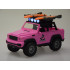 Rožinis Off-road Automobilis