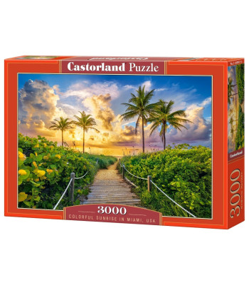 Puzzle 3000 elementų Colorful Sunrise in Miami, USA