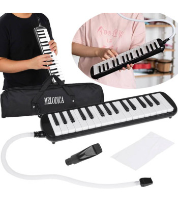 Melodika muzikinis instrumentas