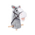 Hobby Horse - Arkliukas ant lazdos