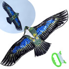 Didelis lengvas aitvaras - erelis