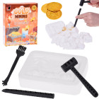 Mažasis archeologas: Monetų ir aukso paieškos