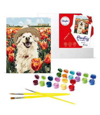 Tapybos rinkinys pagal skaičius Laimingas labradoras KHO6623 40x50 AP0042