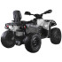 Elektrinis keturratis vaikams CAN-AM OUTLANDER 4x4