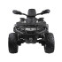 Elektrinis keturratis vaikams CAN-AM OUTLANDER 4x4