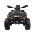 Dviejų vietų elektrinis keturratis vaikams CAN-AM OUTLANDER 4x4 LED panelis