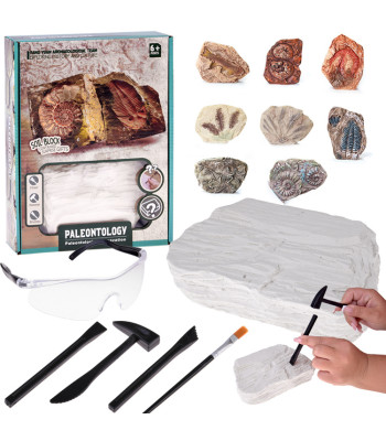 Archeologinis rinkinys - Atrasite staigmeną