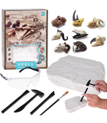 Archeologinis rinkinys "Atskleisk paslaptį: suakmenėjusios kaukolės"