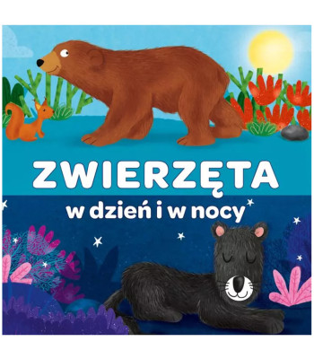 Kapitanas Mokslas - Harmonikos Knygelė Gyvūnai Dieną ir Naktį