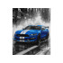 Mėlyni lenktynių automobiliai - tapyba pagal numerius 40x50 cm