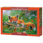 Puzzle 500 dalių B-53872 Foxy Dreams lapė