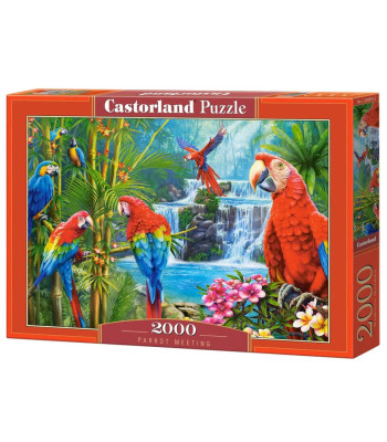 Dėlionė 2000 detalių C-200870 Papūgų susitikimas