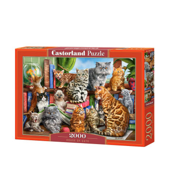 Puzzle 2000 dalys House of Cats