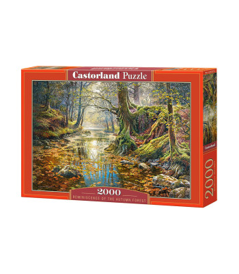 Puzzle 2000 - Rudens Miško Prisiminimai