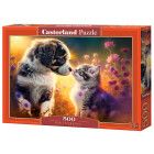 Dėlionė 500 detalių Nauja Draugystė šuo ir katė