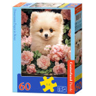 Dėlionė Pomeranian Puppy in Roses, 60 elementų, B-066261