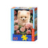 Puzzle 60 dalių Pomeranijos šuniukas rožių fone B-066261