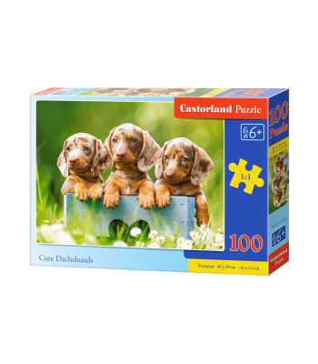 100 dalių dėlionė Cute Dachshunds