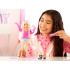 Mattel lėlė Barbie Dream Besties Malibu su aksesuarais ZA6708
