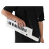 Elektroninis keyboardas su laikikliu ir mikrofonu, 37 klavišai, IN0172