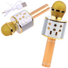 Belaidis karaoke mikrofonas su garsiakalbiu ir balso moduliacija Bluetooth IN0136