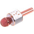 Belaidis karaoke mikrofonas su garsiakalbiu, balso moduliacija ir Bluetooth IN0136