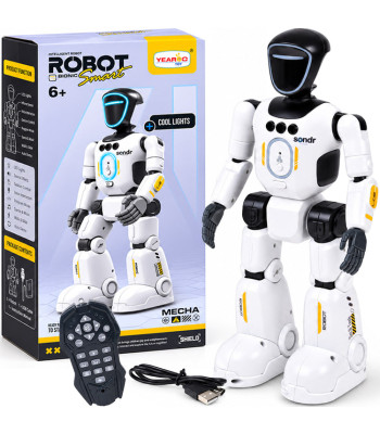 Interaktyvus robotas, valdomas pultu ir gestais, šoka, dainuoja ir kalba, RC0808