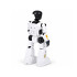 Interaktyvus robotas, valdomas pultu ir gestais, šoka, dainuoja ir kalba, RC0808