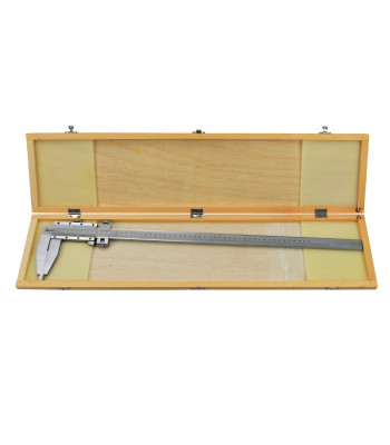 Analoginis vienos žioties slankmatis, 0–500 mm × 0,05