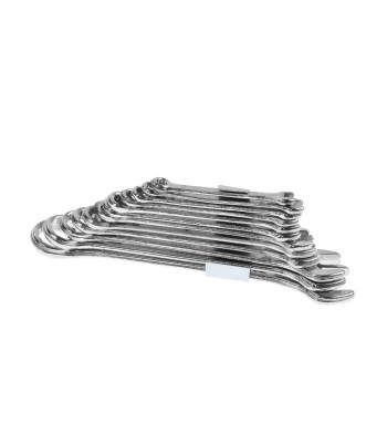 Plokščiųjų ir žiedinių raktų komplektas, „hobby“ tipo, 12 dalių, 6–22 mm (5/20)