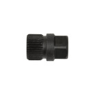 Alternatoriaus sankabos raktas BOSCH tipo, 33 dantys, 6-kampis, 17mm, 30mm (50/200)