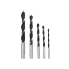 Medienos grąžtų komplektas, 5 vnt. (200), 4–10 mm